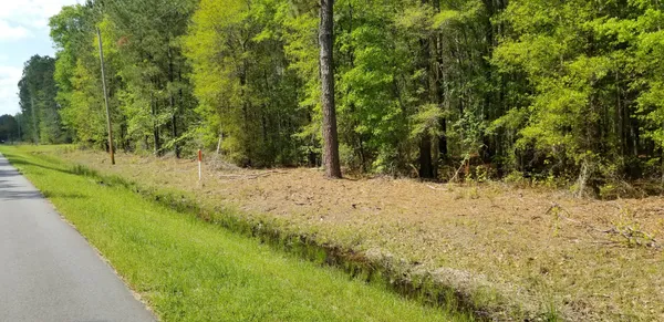 $35,000 | 0 Belton Lane, Ruffin, SC 29475