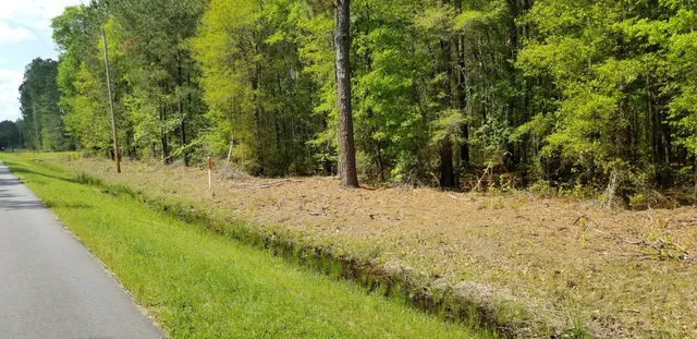 $35,000 | 0 Belton Lane, Ruffin, SC 29475