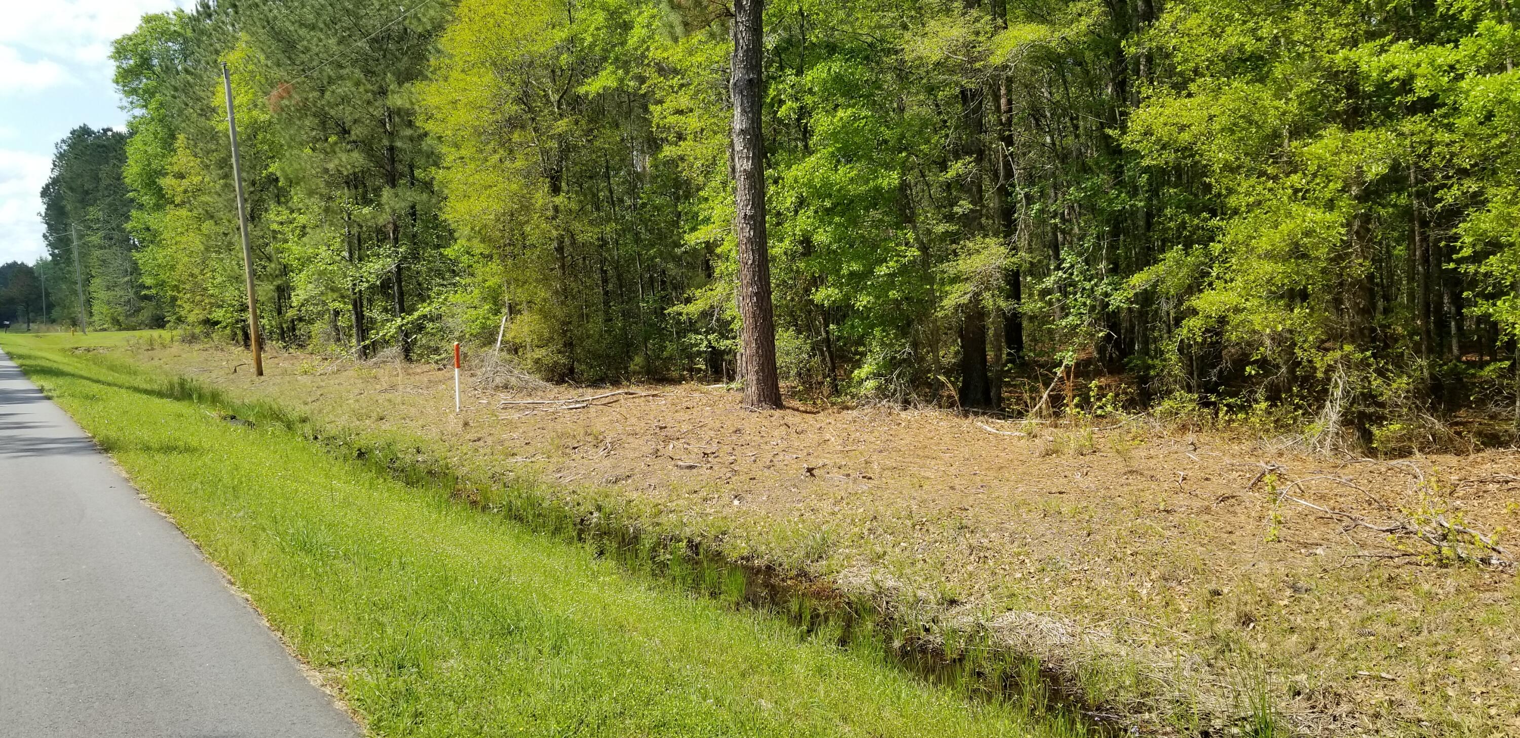 0 Belton Lane Ruffin, SC 29475 - Photo 4 of 6 20250409_151451