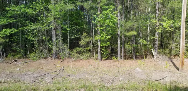 $35,000 | 0 Belton Lane, Ruffin, SC 29475