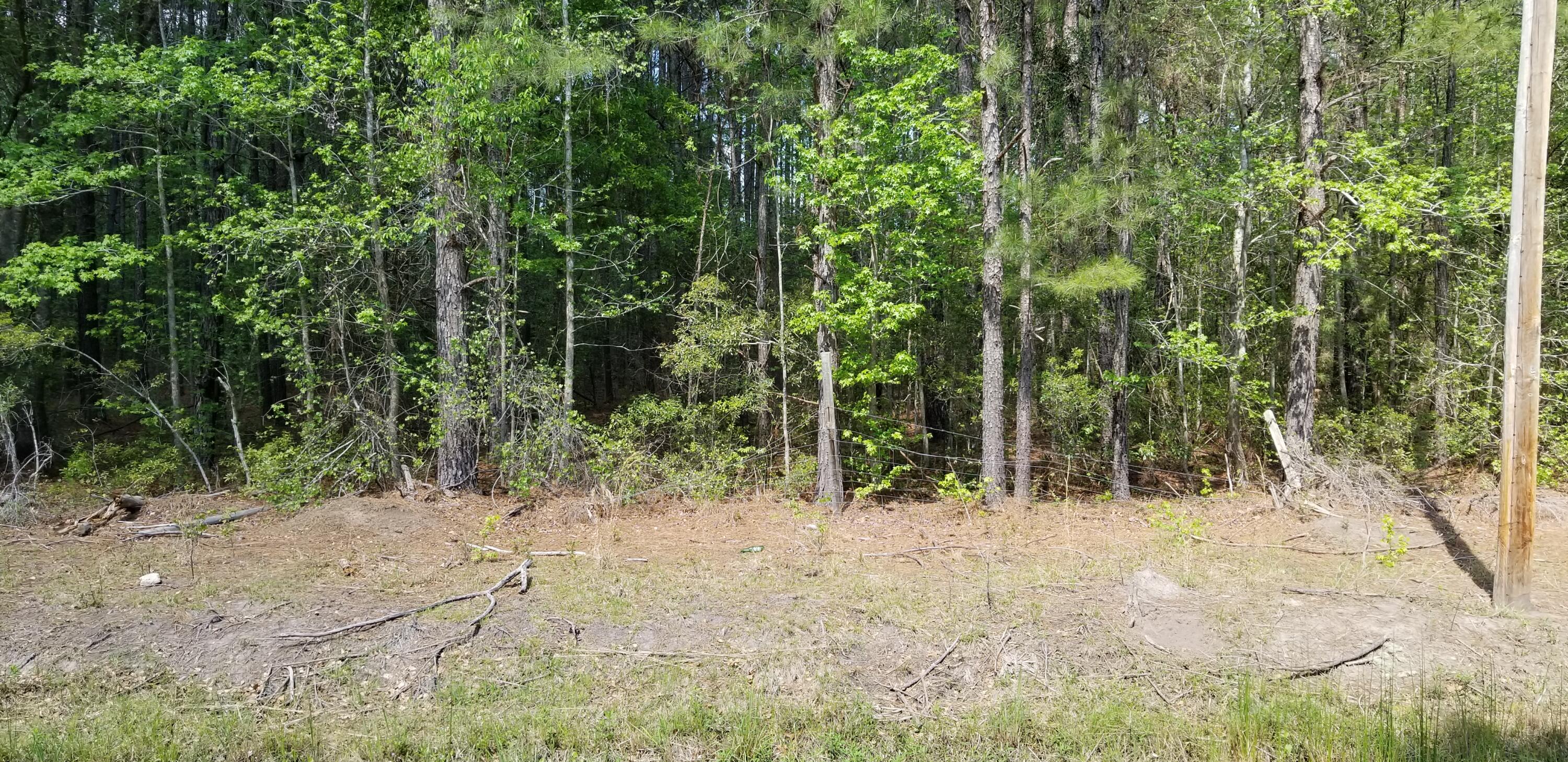 0 Belton Lane Ruffin, SC 29475 - Photo 5 of 6 20250409_151315