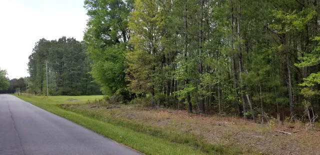 $35,000 | 0 Belton Lane, Ruffin, SC 29475