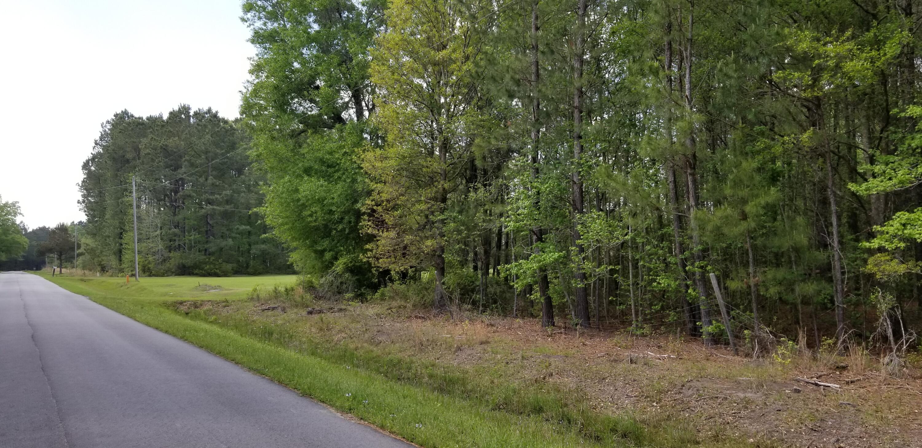 0 Belton Lane Ruffin, SC 29475 - Photo 6 of 6 20250409_151304