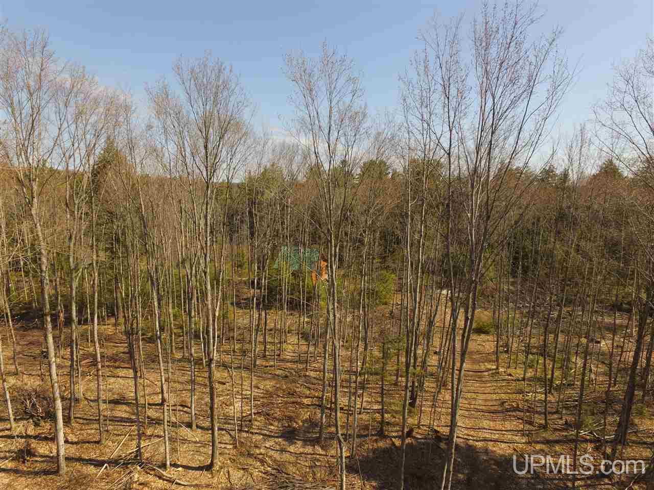 N2510 Co Rd Kch Big Bay, MI 49808 - Photo 2 of 39
