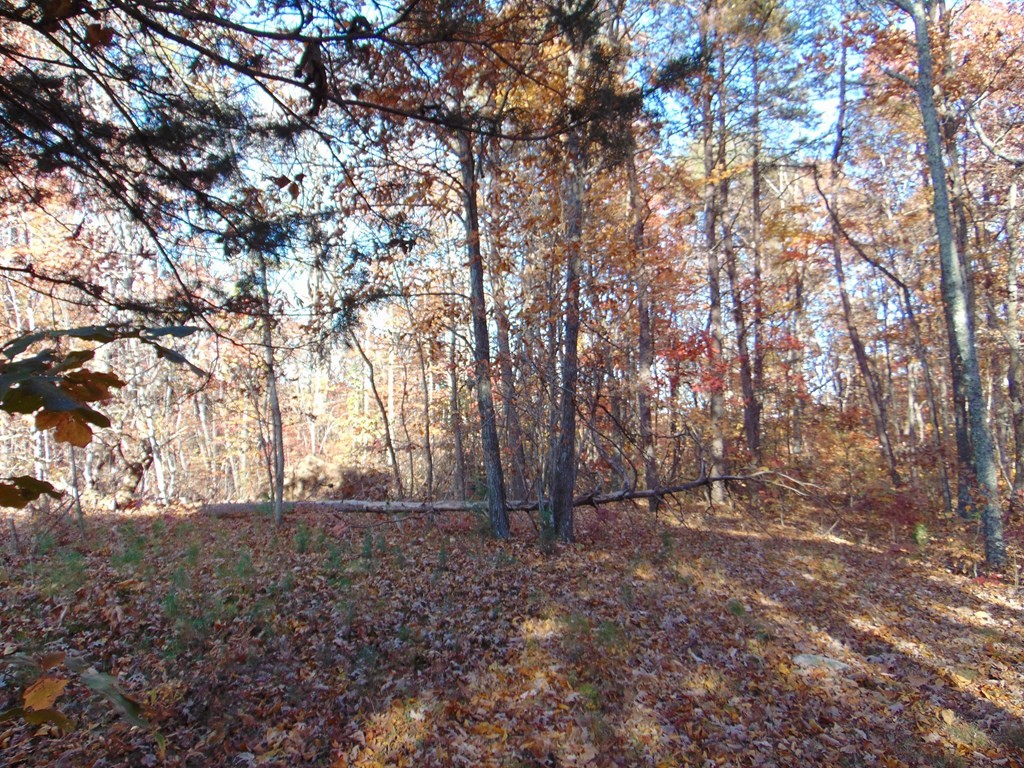 0 Raccoon Ridge Road Spring City, TN 37381 - Photo 49 of 70