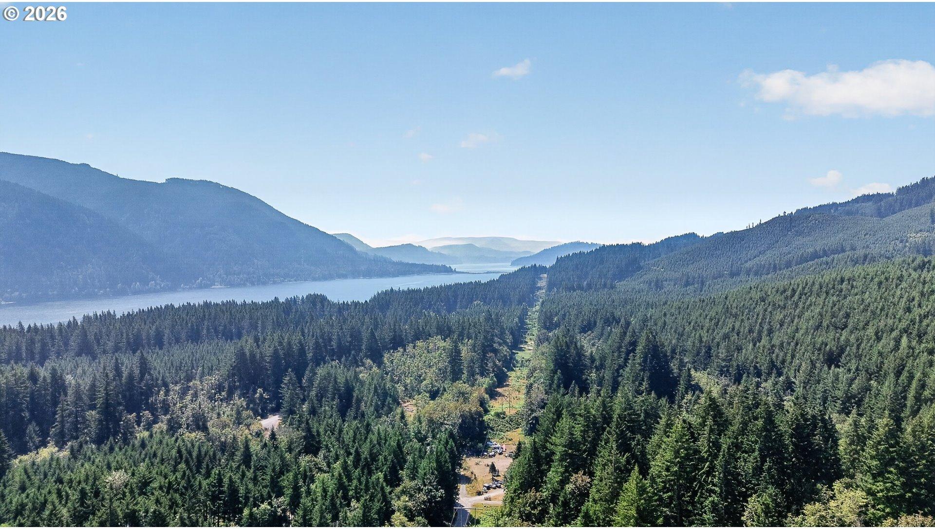 0 Dog Creek Road Cougar, WA 98616 - Photo 13 of 17 Gallery Image 13
