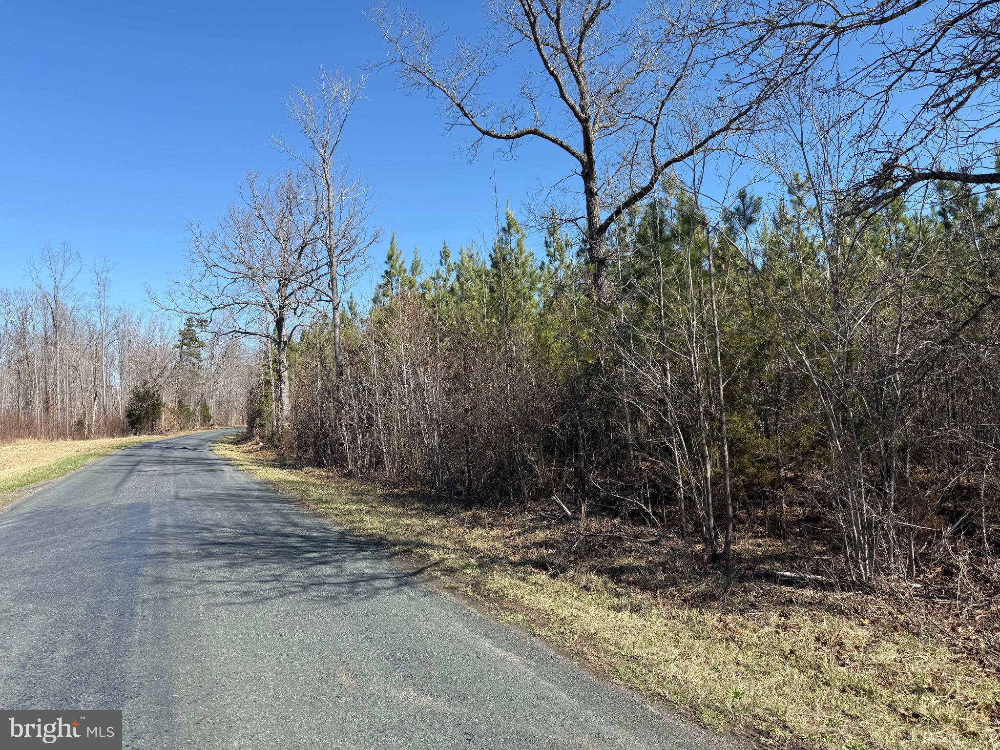 2 B Sanders Creek Road Dillwyn, VA 23936 - Photo 2 of 10 a view of a backyard of the house