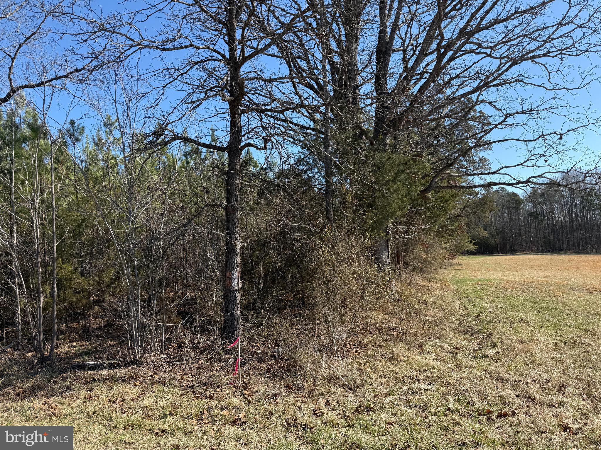 2 B Sanders Creek Road Dillwyn, VA 23936 - Photo 3 of 10 a backyard of a house with lots of green space