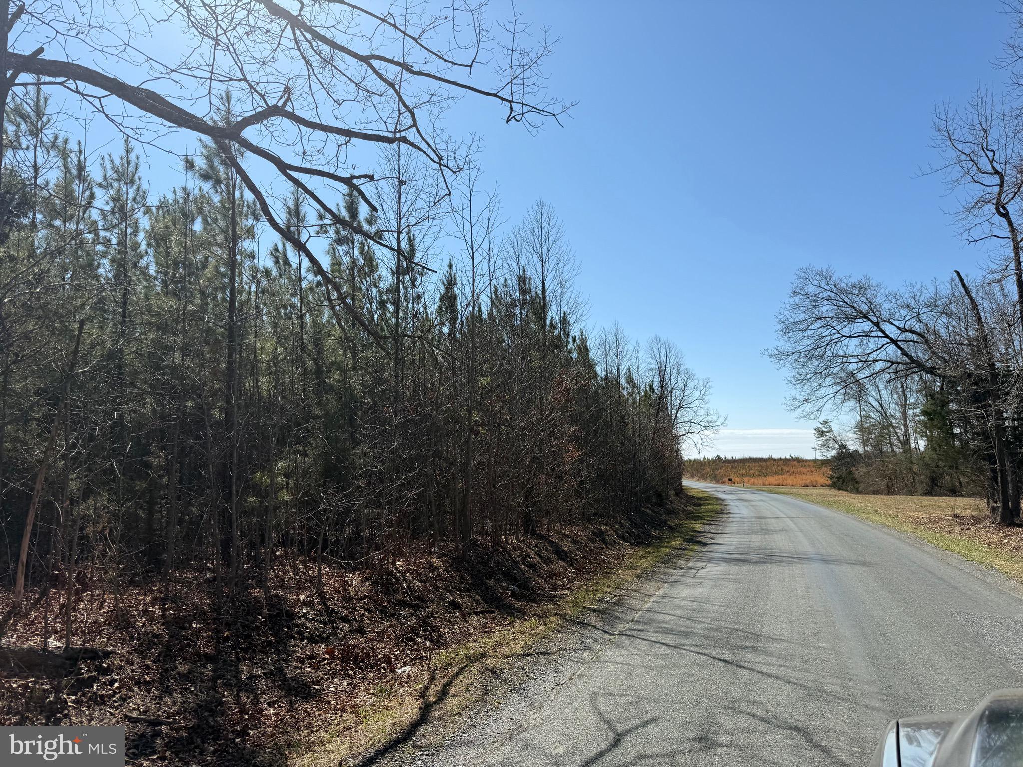 2 B Sanders Creek Road Dillwyn, VA 23936 - Photo 5 of 10 a view of beach and patio