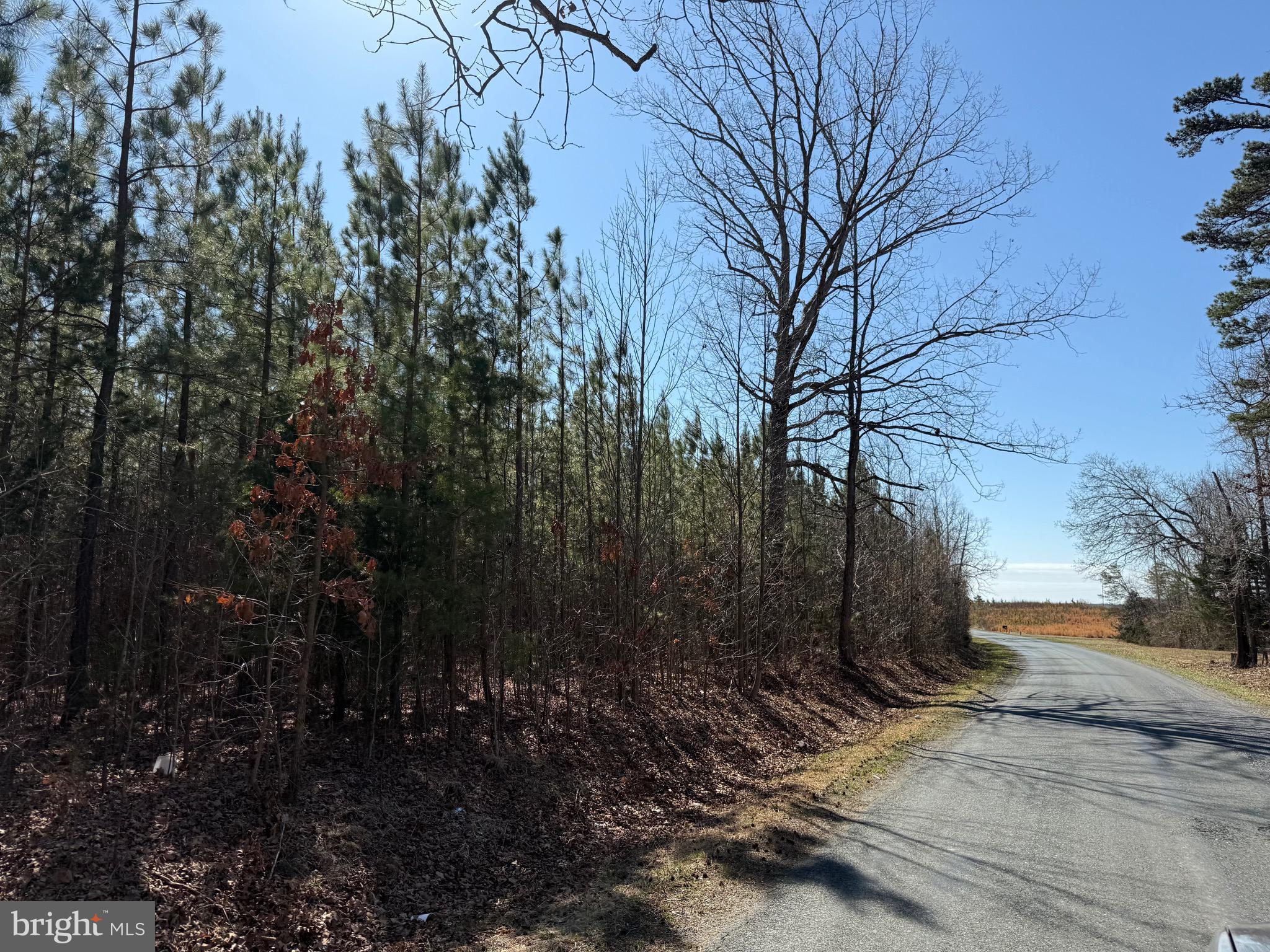 2 B Sanders Creek Road Dillwyn, VA 23936 - Photo 6 of 10 a view of outdoor space and yard