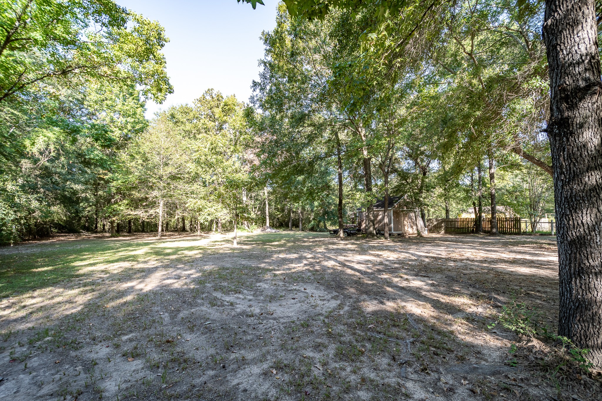 24274 Enloe Road Porter, TX 77365 - Photo 28 of 29 a view of a yard with a tree