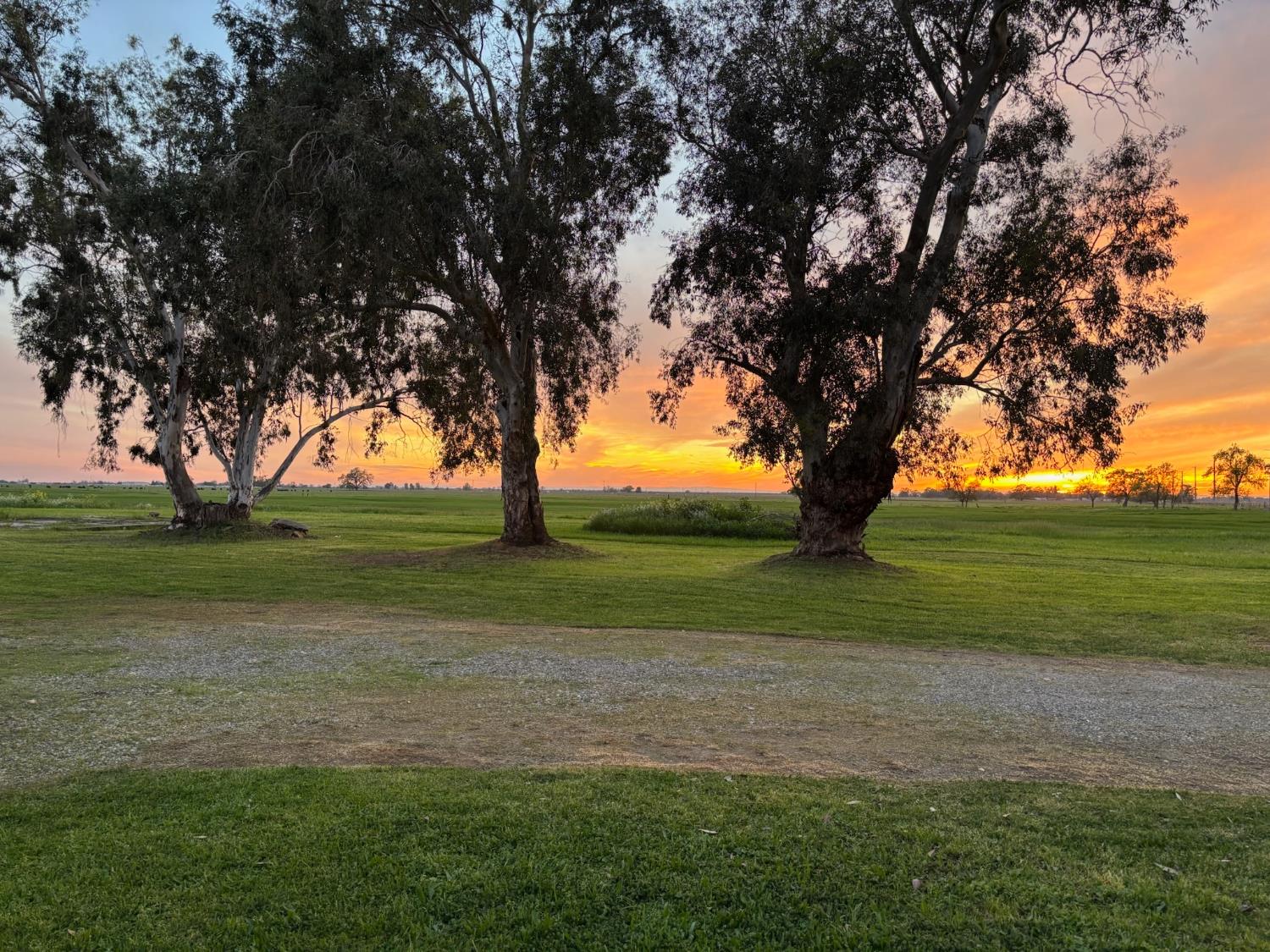 3027 West Wise Road Lincoln, CA 95648 - Photo 38 of 41