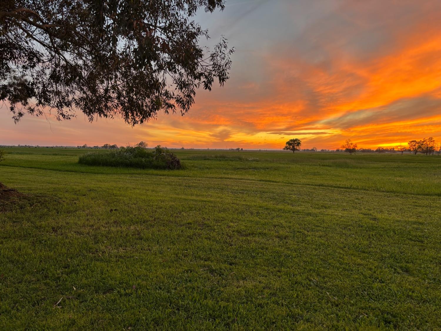 3027 West Wise Road Lincoln, CA 95648 - Photo 39 of 41