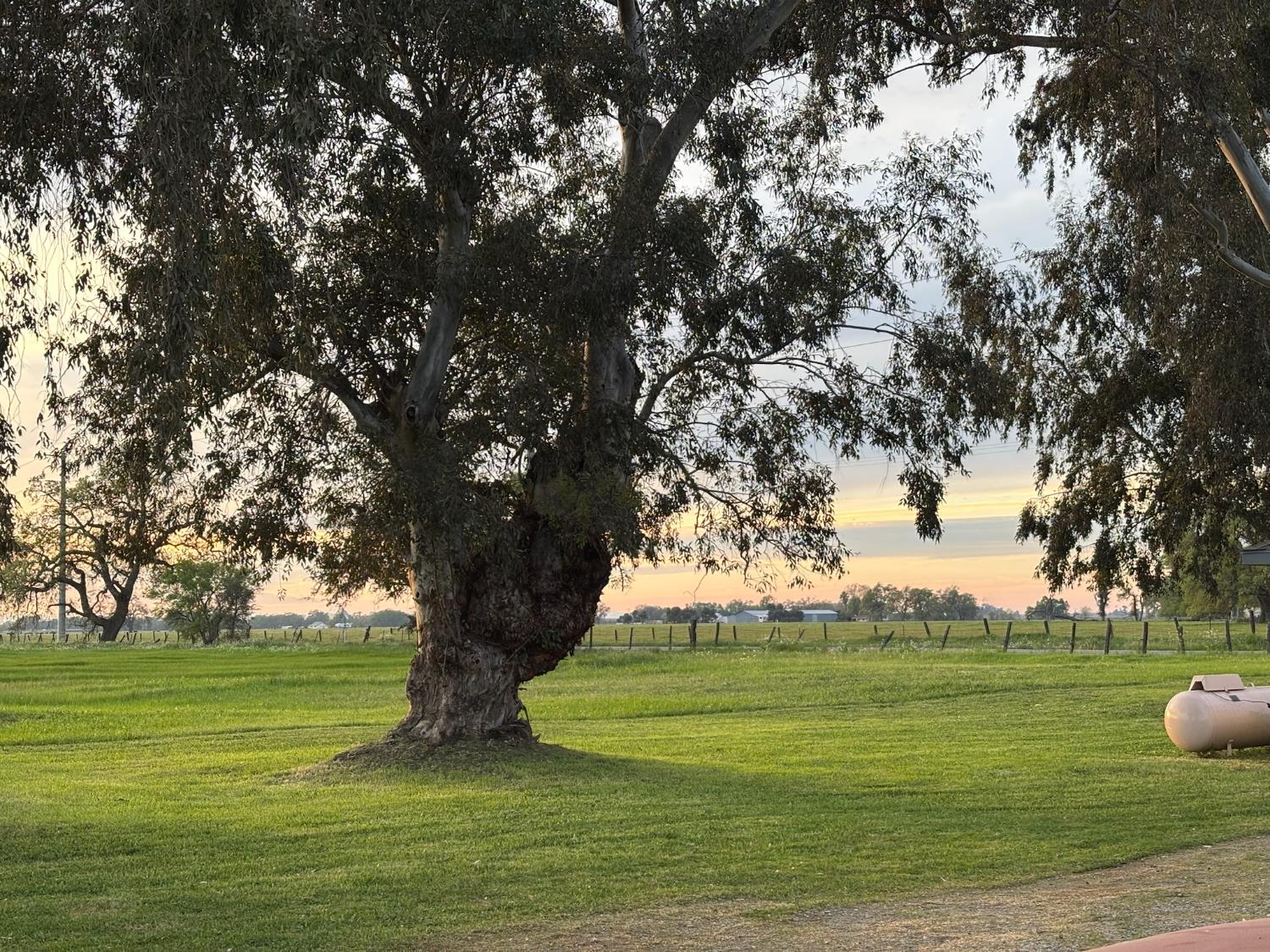 3027 West Wise Road Lincoln, CA 95648 - Photo 6 of 41