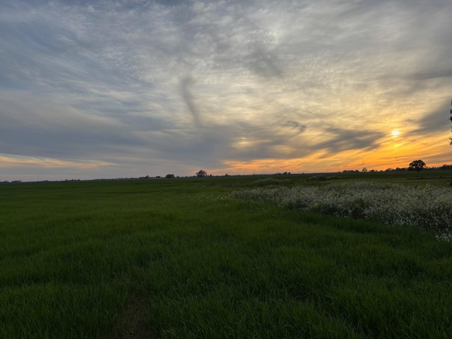 3027 West Wise Road Lincoln, CA 95648 - Photo 7 of 41