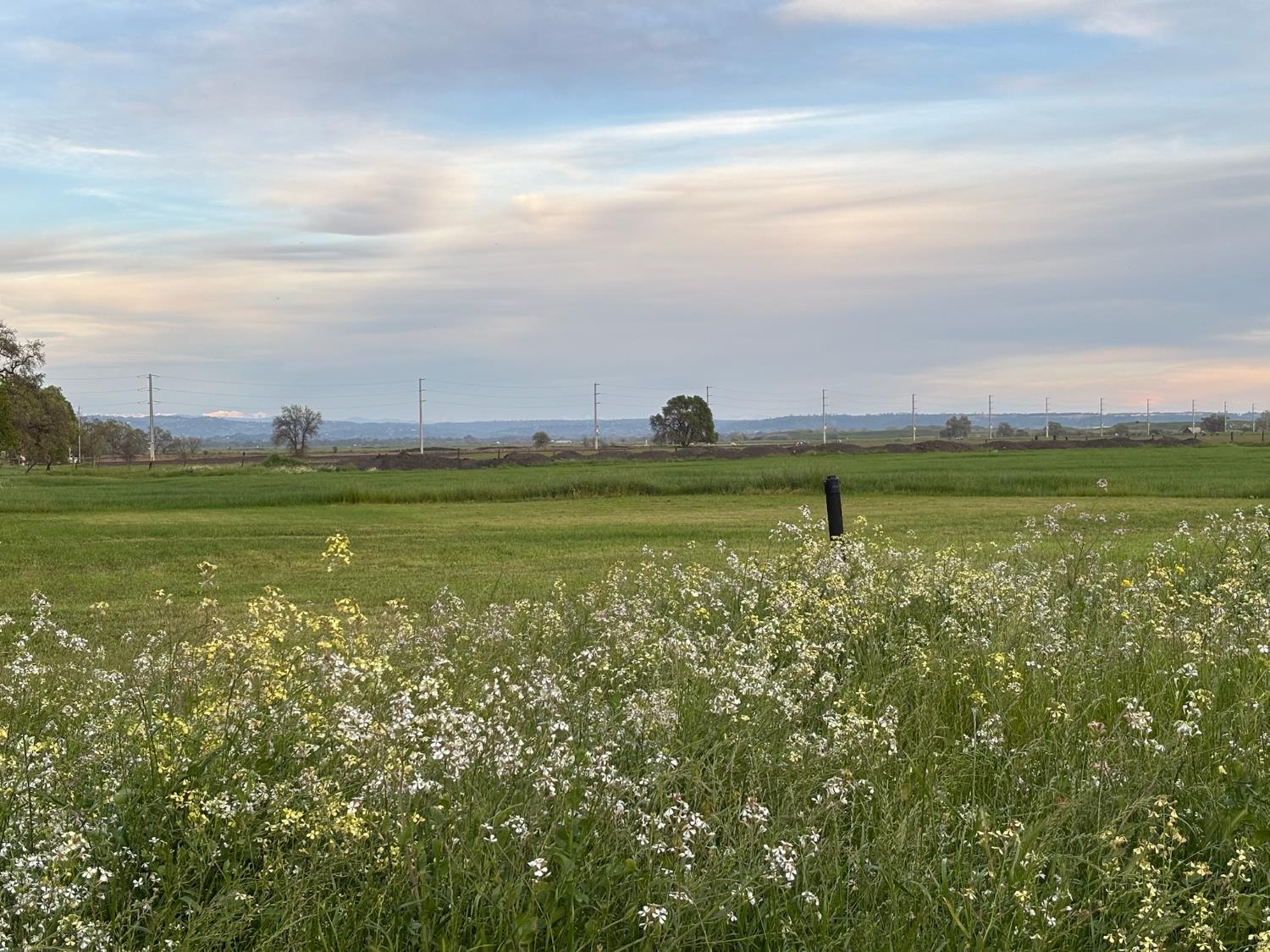 3027 West Wise Road Lincoln, CA 95648 - Photo 8 of 41