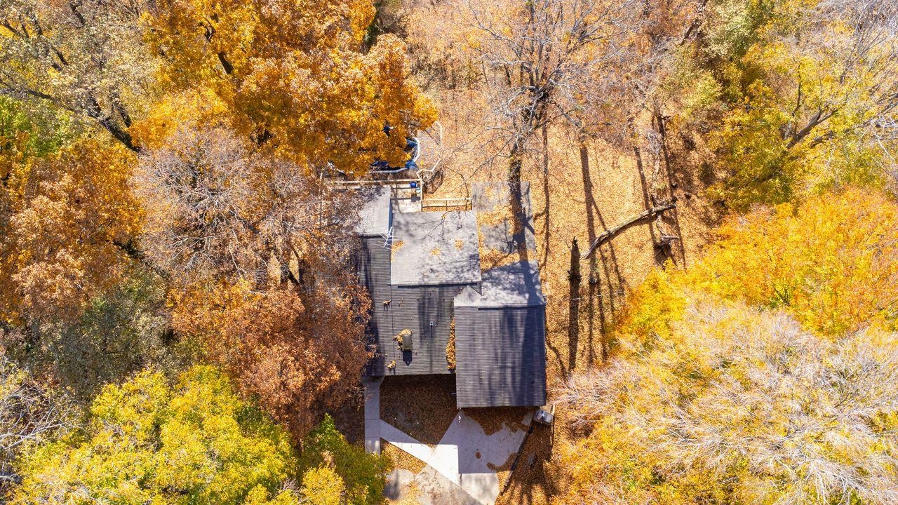 205 Charles Martin Road Ripley, TN 38063 - Photo 6 of 34 a backyard of a building with large trees