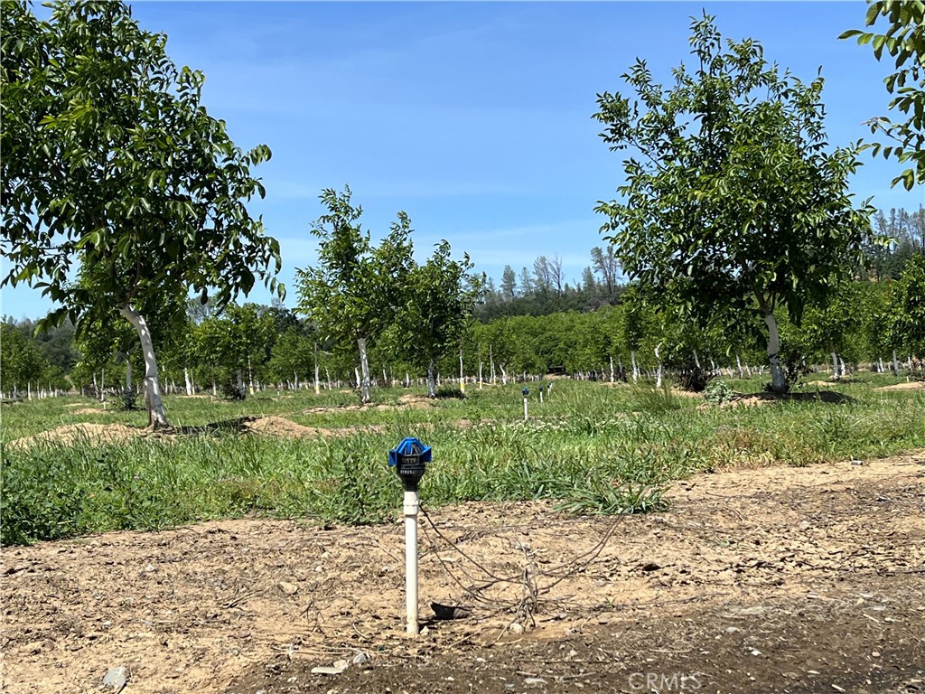 18525 Farquhar Road Cottonwood, CA 96022 - Photo 26 of 38