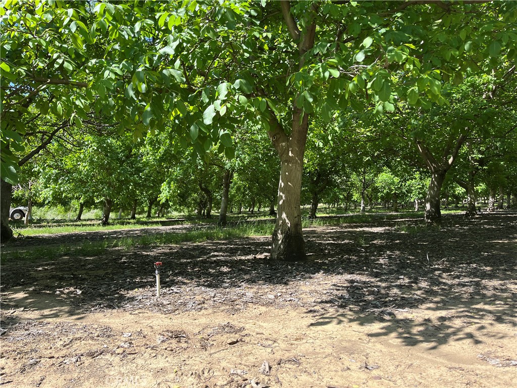 18525 Farquhar Road Cottonwood, CA 96022 - Photo 30 of 38