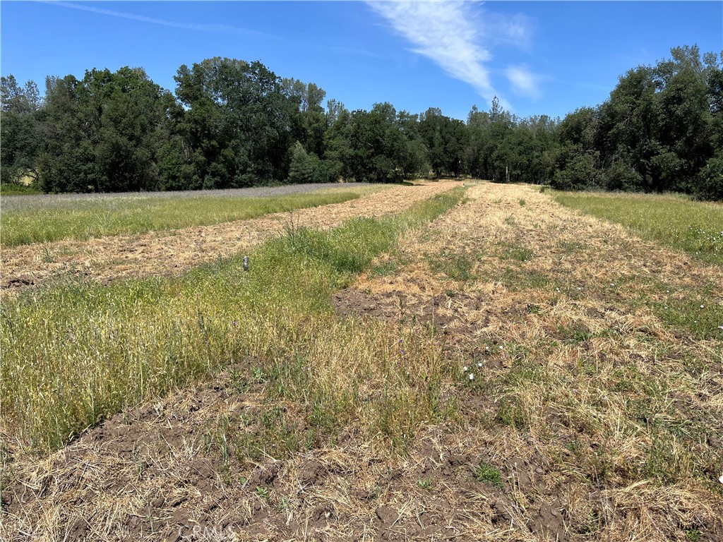 18525 Farquhar Road Cottonwood, CA 96022 - Photo 35 of 38