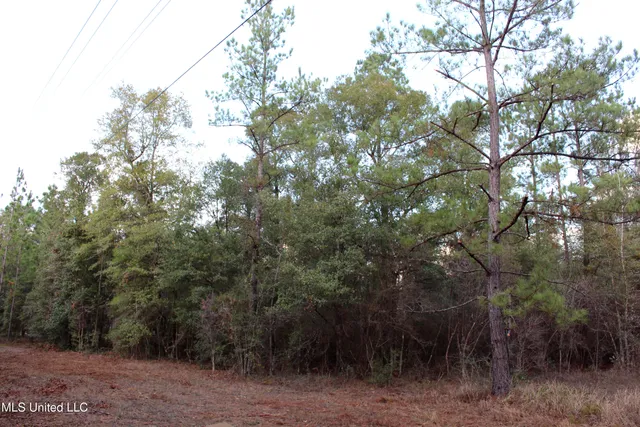 $100,000 | Salem Campground Road, Lucedale, MS 39452