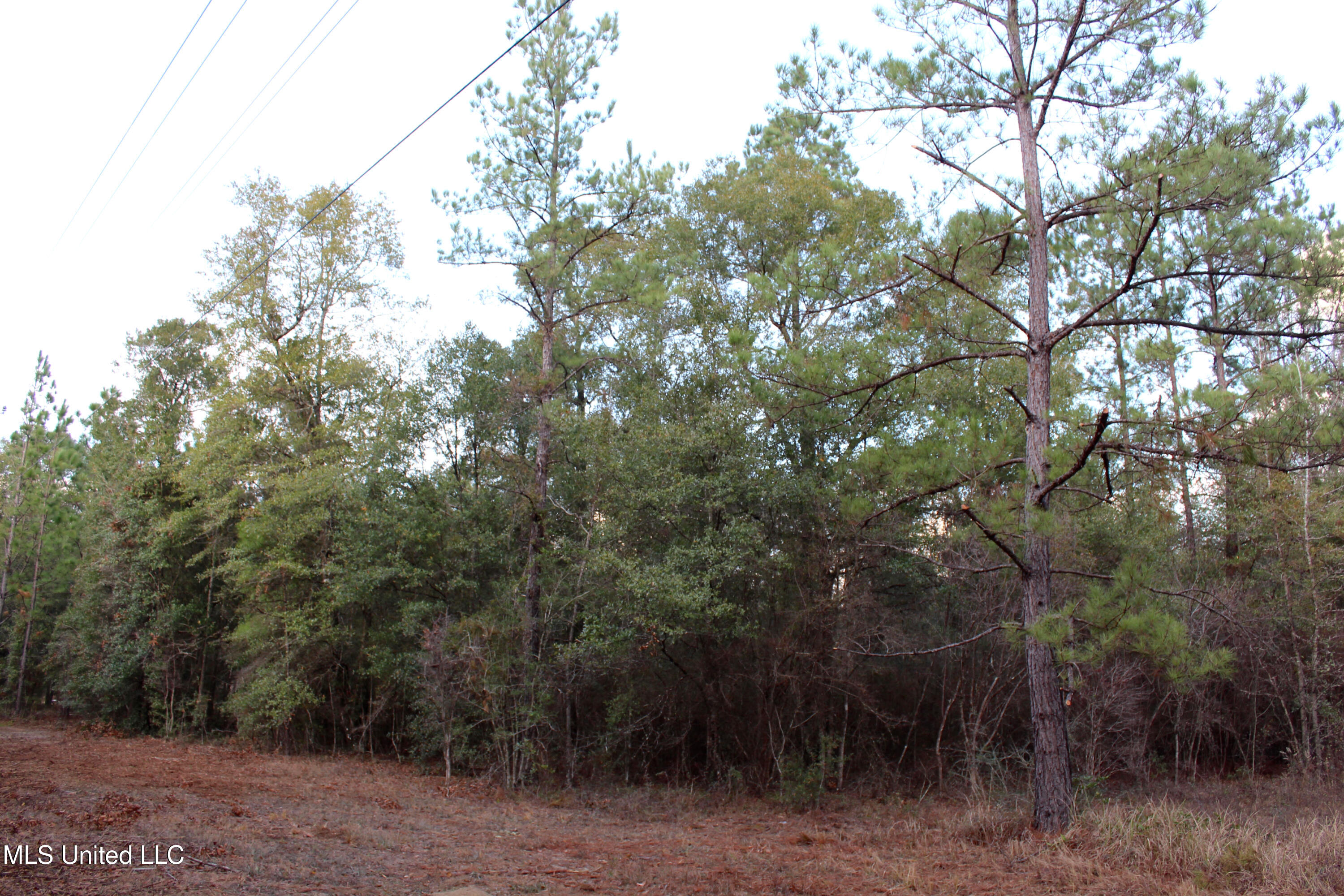 Salem Campground Road Lucedale, MS 39452 - Photo 2 of 11 401063D4-0D6B-4F6C-9582-35A2DDEACA3C