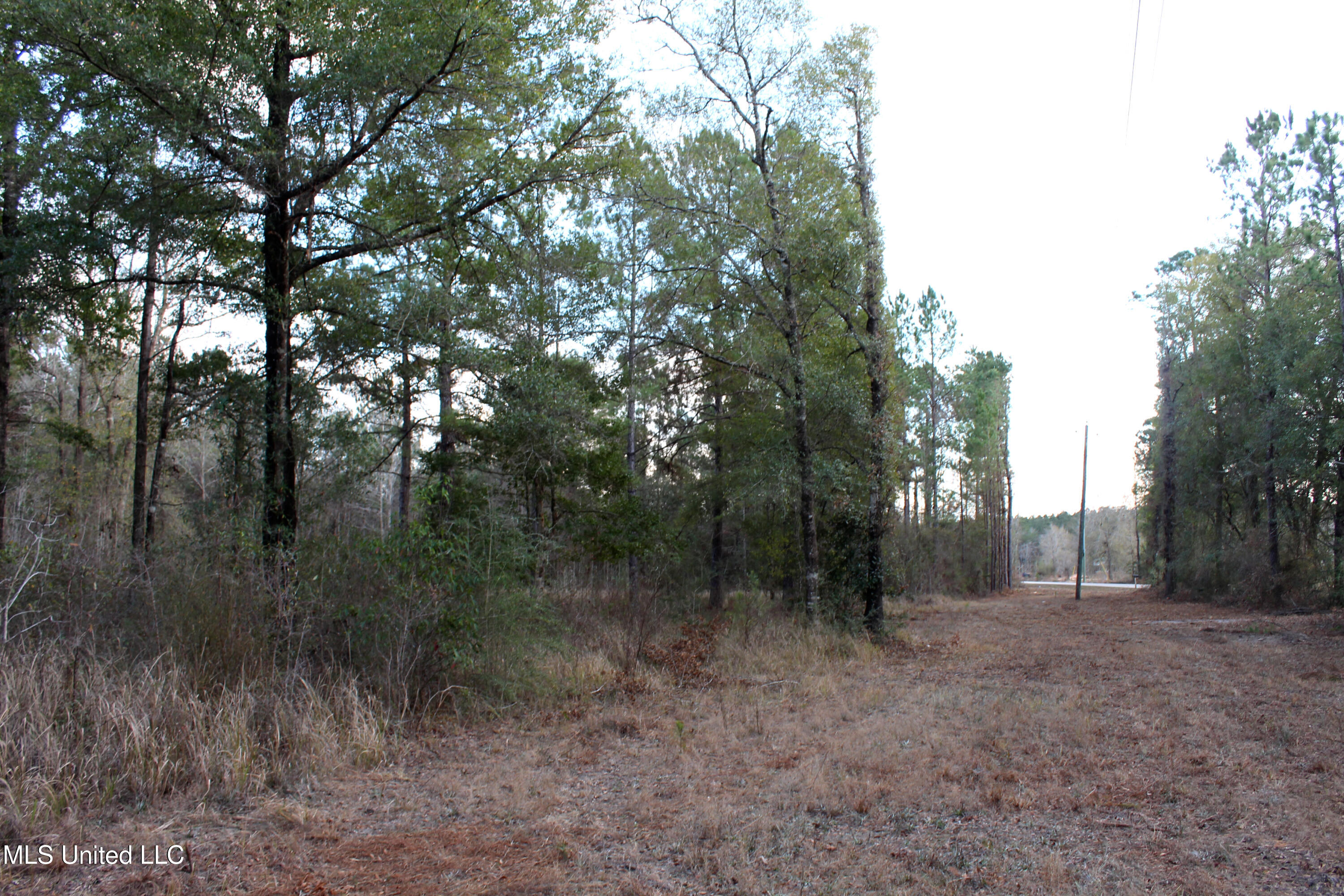 Salem Campground Road Lucedale, MS 39452 - Photo 5 of 11 81B0C1CA-2067-498A-880D-44708AF13A2E