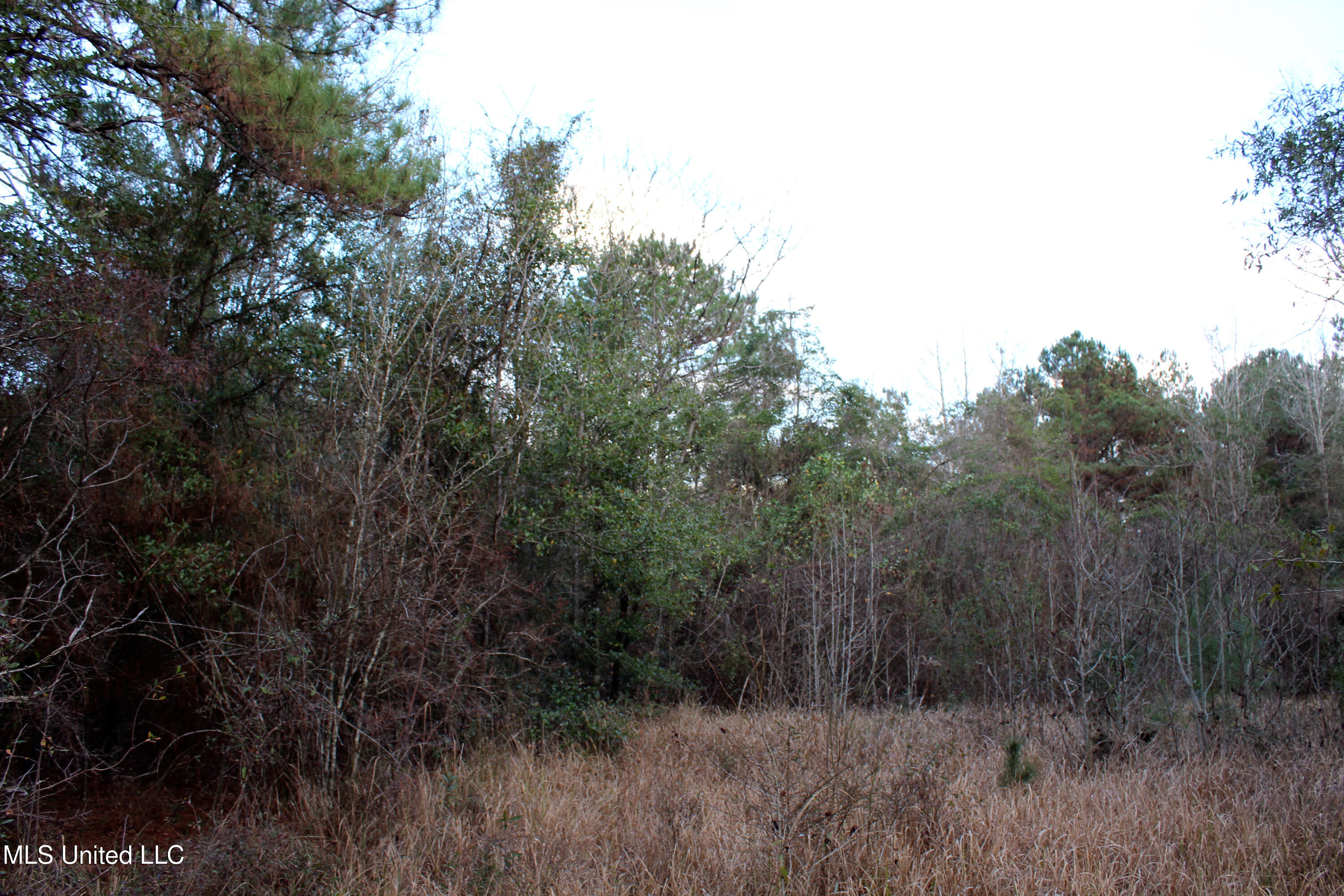 Salem Campground Road Lucedale, MS 39452 - Photo 6 of 11 EF988B15-4590-4B51-A1C3-05AC010F4120