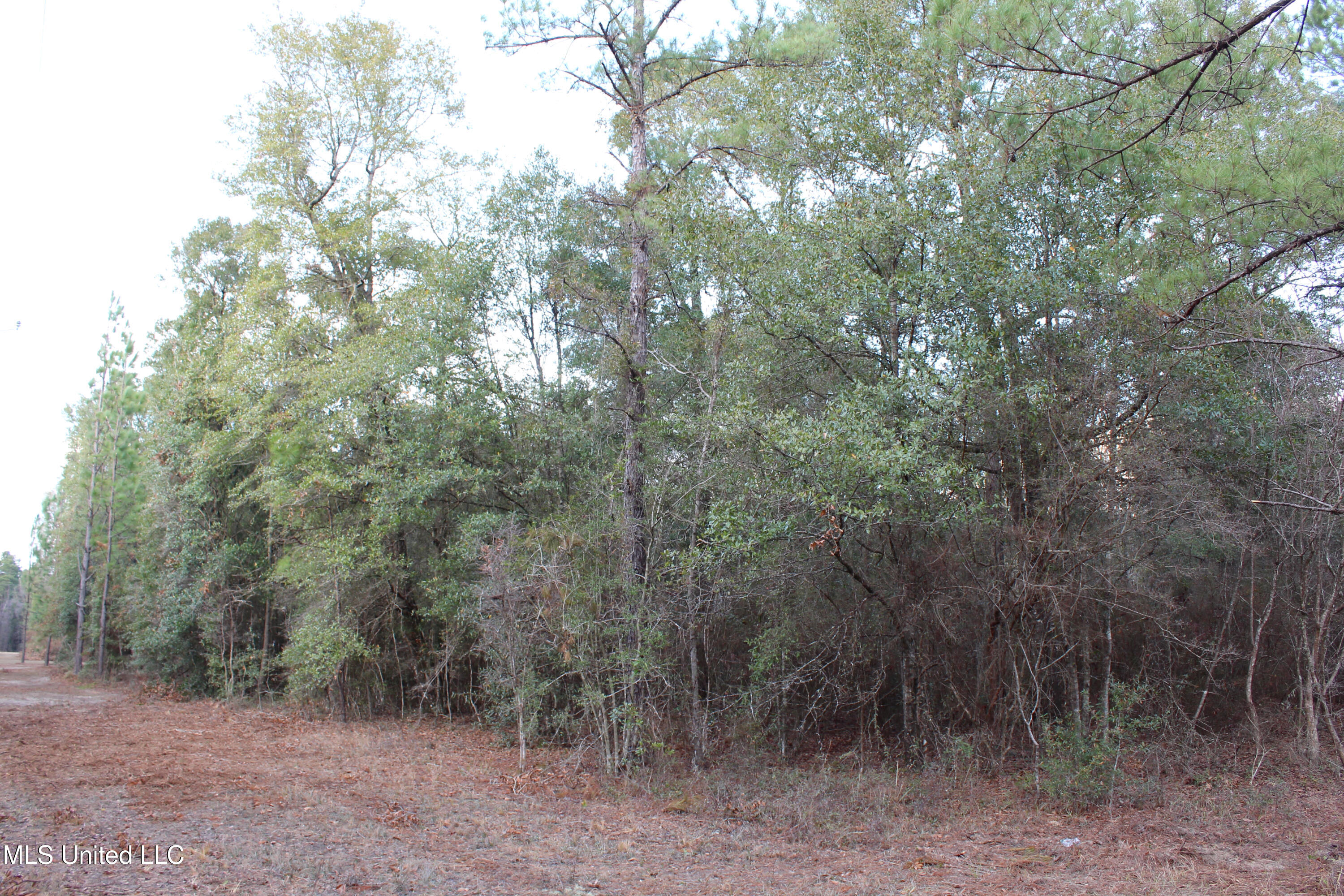 Salem Campground Road Lucedale, MS 39452 - Photo 8 of 11 8045E3D9-125A-4B15-80B8-B86207AB8030