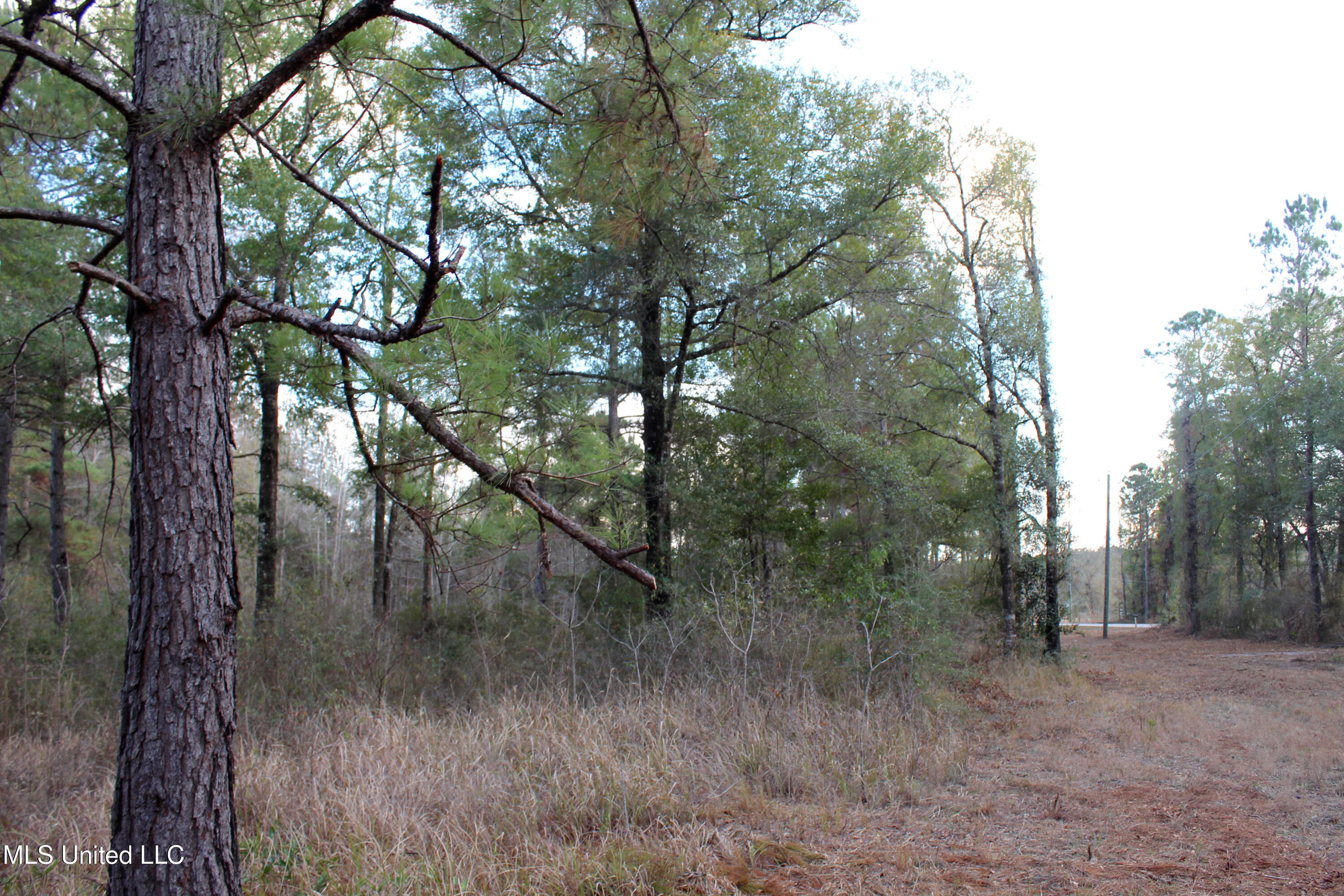 Salem Campground Road Lucedale, MS 39452 - Photo 9 of 11 1E5C1D8F-9C3B-46E8-92C1-56DFC0E5675B