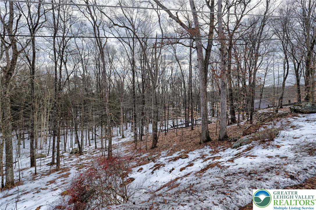 Lot 679 Raccoon Court Bushkill, PA 18324 - Photo 11 of 15 a backyard of a house with lots of trees