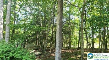 Lot 679 Raccoon Court Bushkill, PA 18324 - Photo 7 of 15 a view of outdoor space and trees