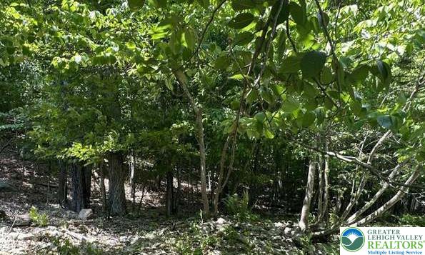 Lot 679 Raccoon Court Bushkill, PA 18324 - Photo 8 of 15 a view of a tree in a garden