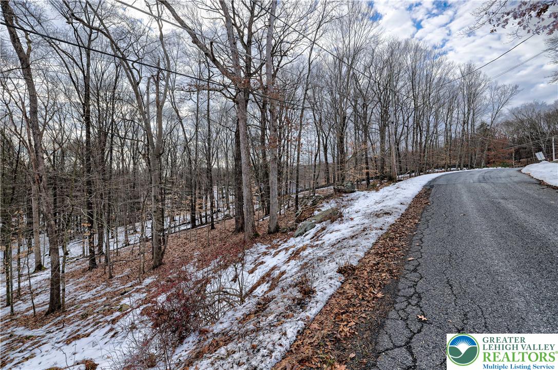 Lot 679 Raccoon Court Bushkill, PA 18324 - Photo 10 of 15 a view of a backyard with large trees