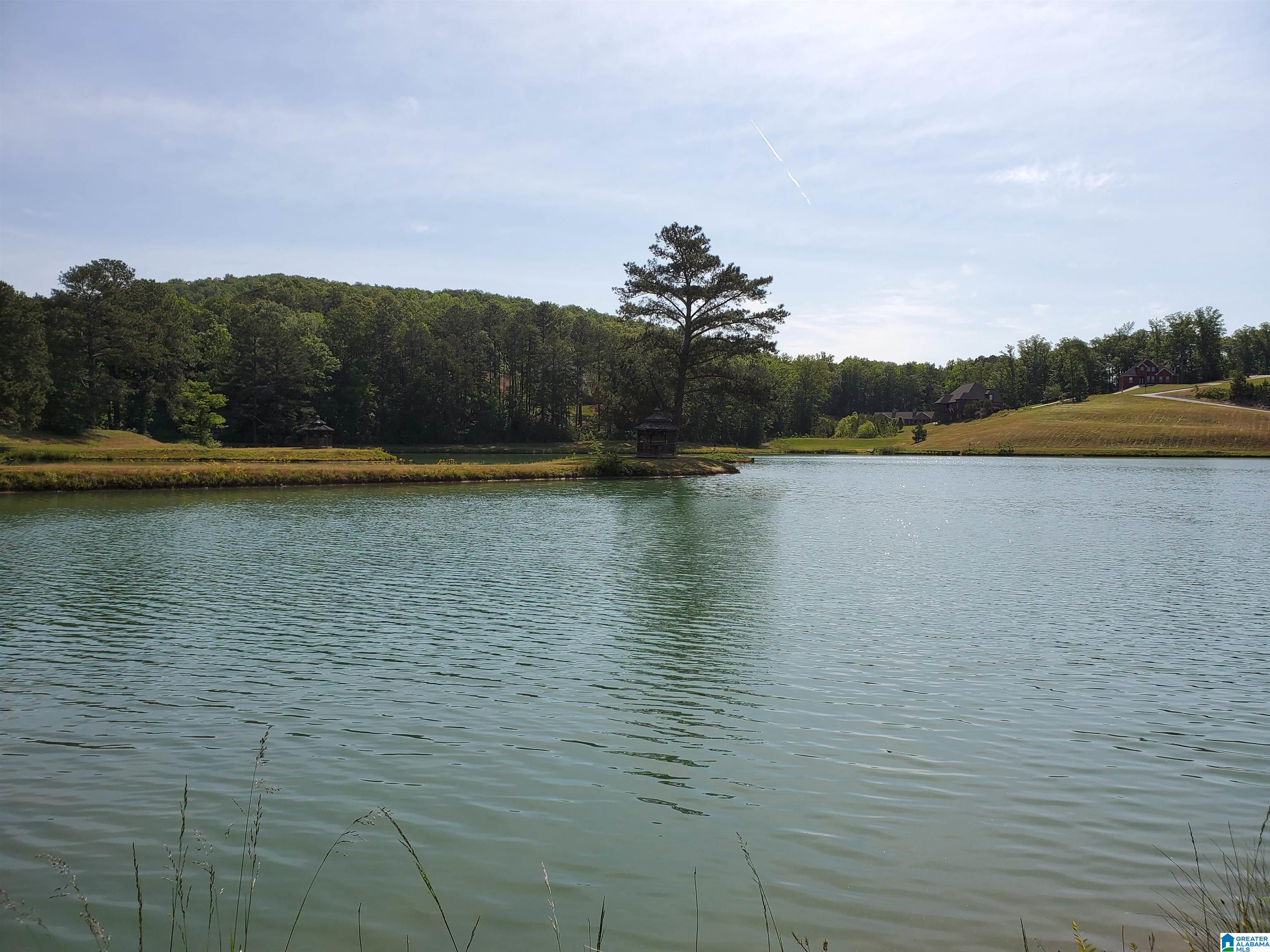950 Redhawk Ridge, Unit 53 Springville, AL 35146 - Photo 5 of 5
