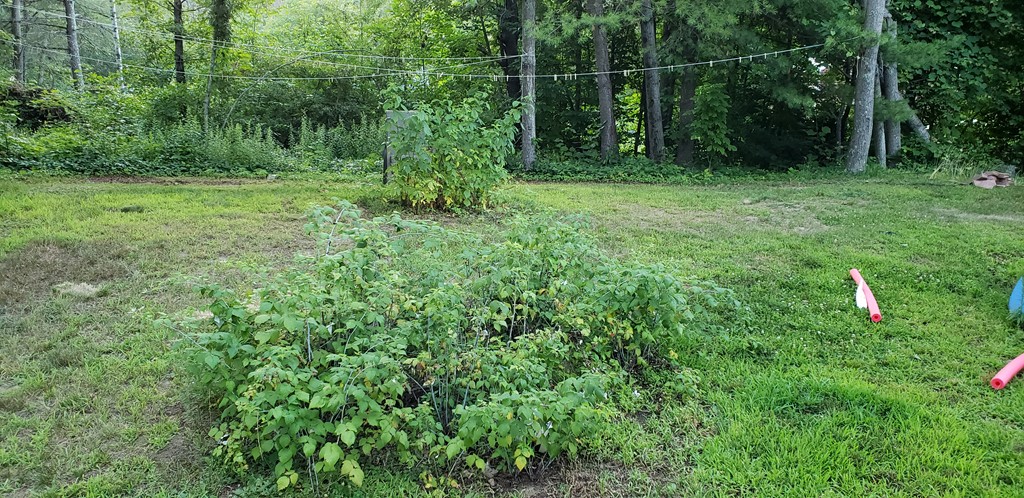 116-118 Creamery Road Hardwick, MA 01031 - Photo 4 of 7