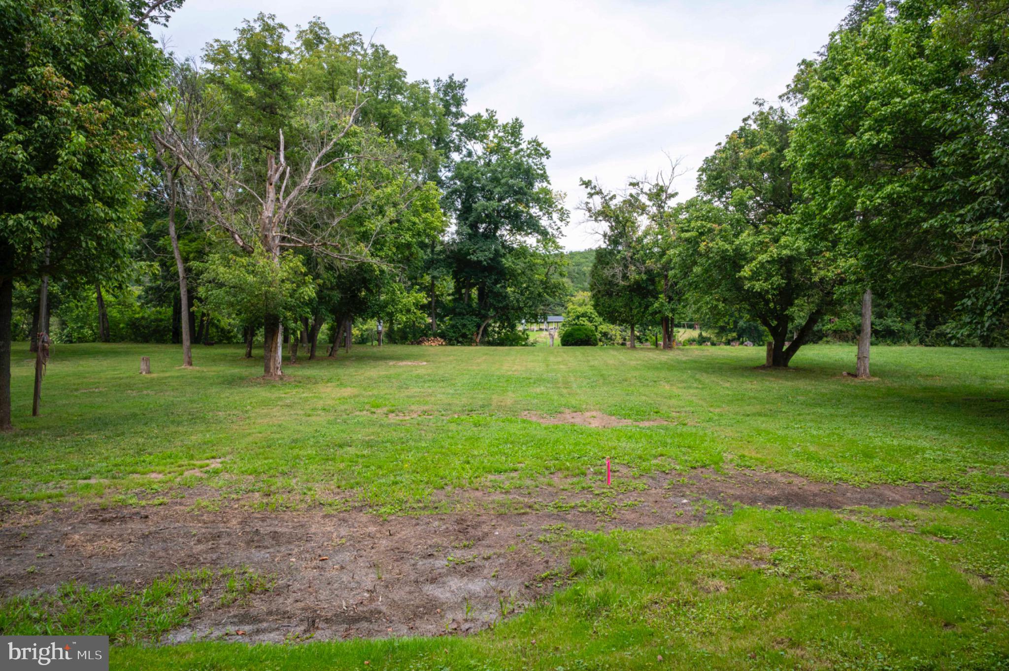 22 Burma Road Front Royal, VA 22630 - Photo 2 of 20 Park-like setting with plenty of trees.