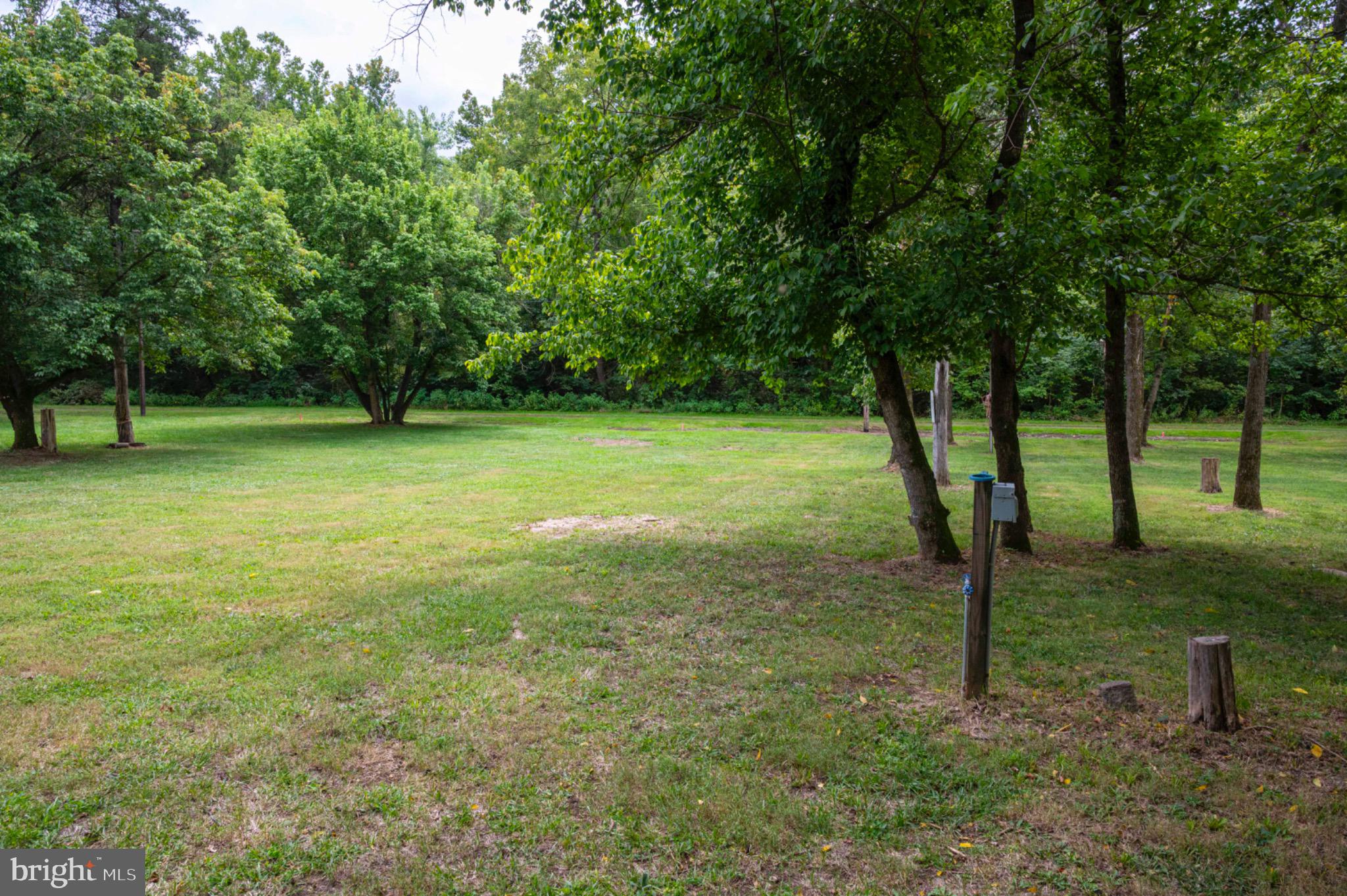 22 Burma Road Front Royal, VA 22630 - Photo 3 of 20 Park-like setting with plenty of trees.