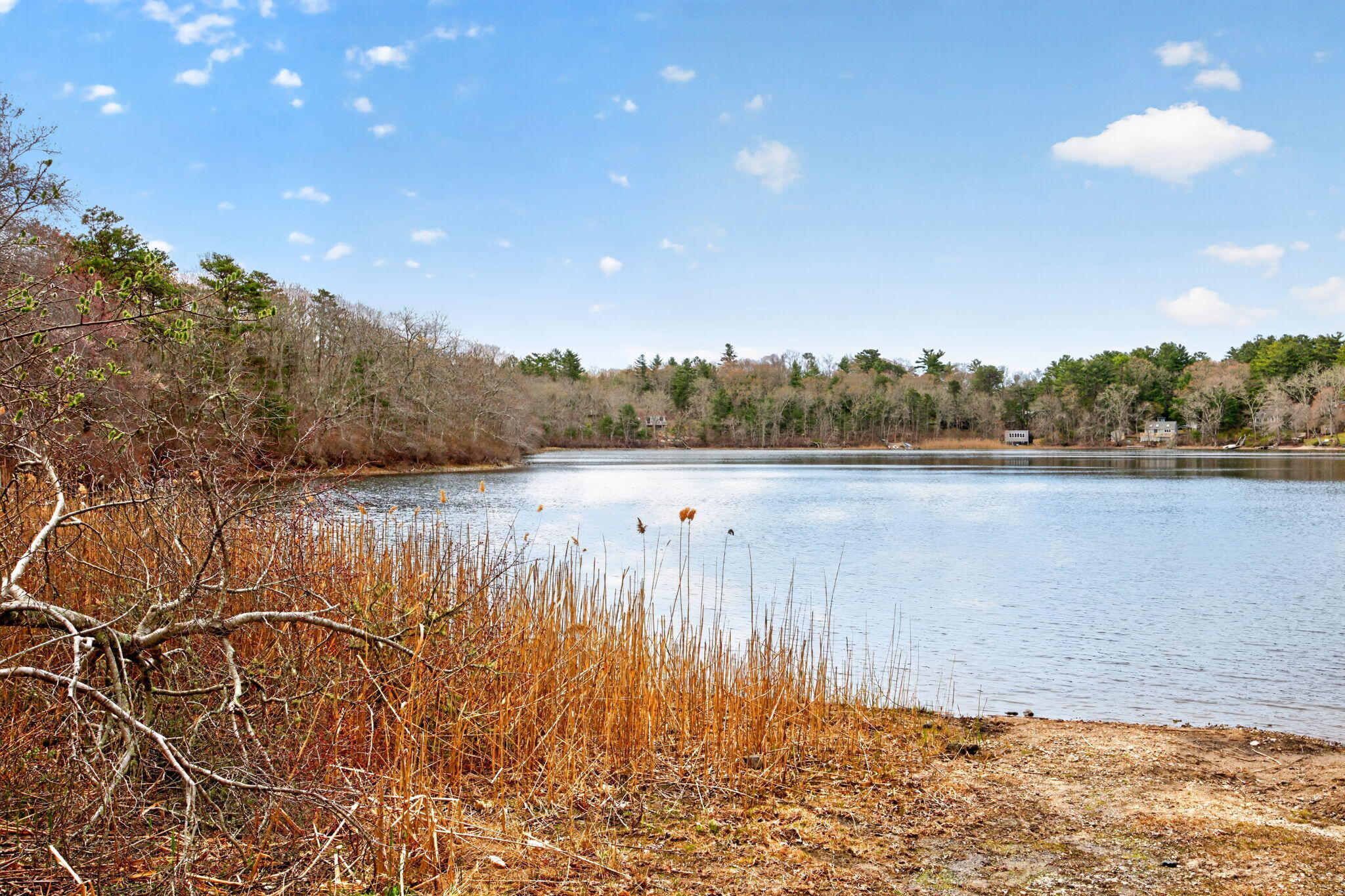 73 Pimlico Pond Road Mashpee, MA 02649 - Photo 2 of 29 23-8P0A8431