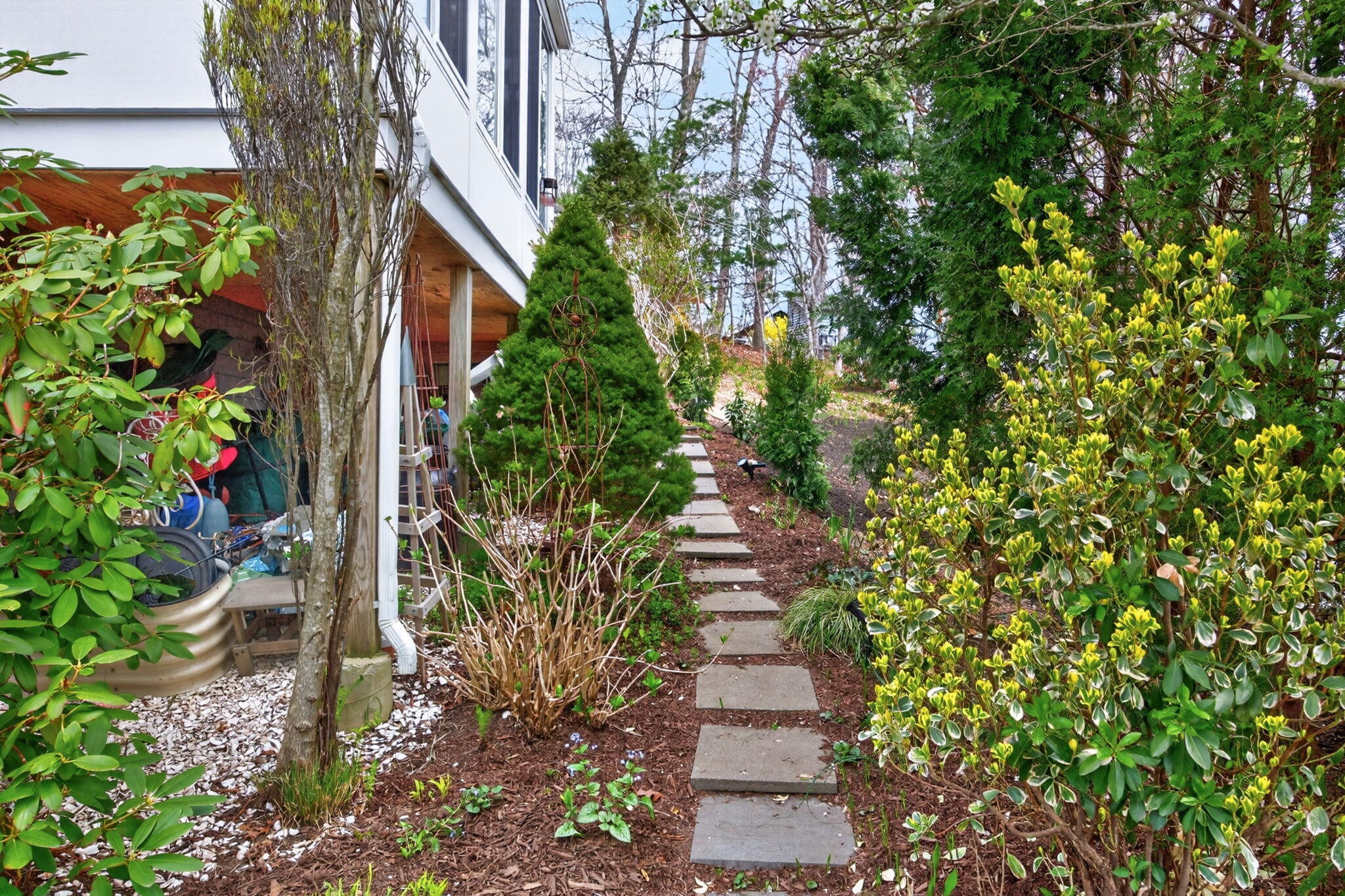 73 Pimlico Pond Road Mashpee, MA 02649 - Photo 28 of 29 7-8P0A8420