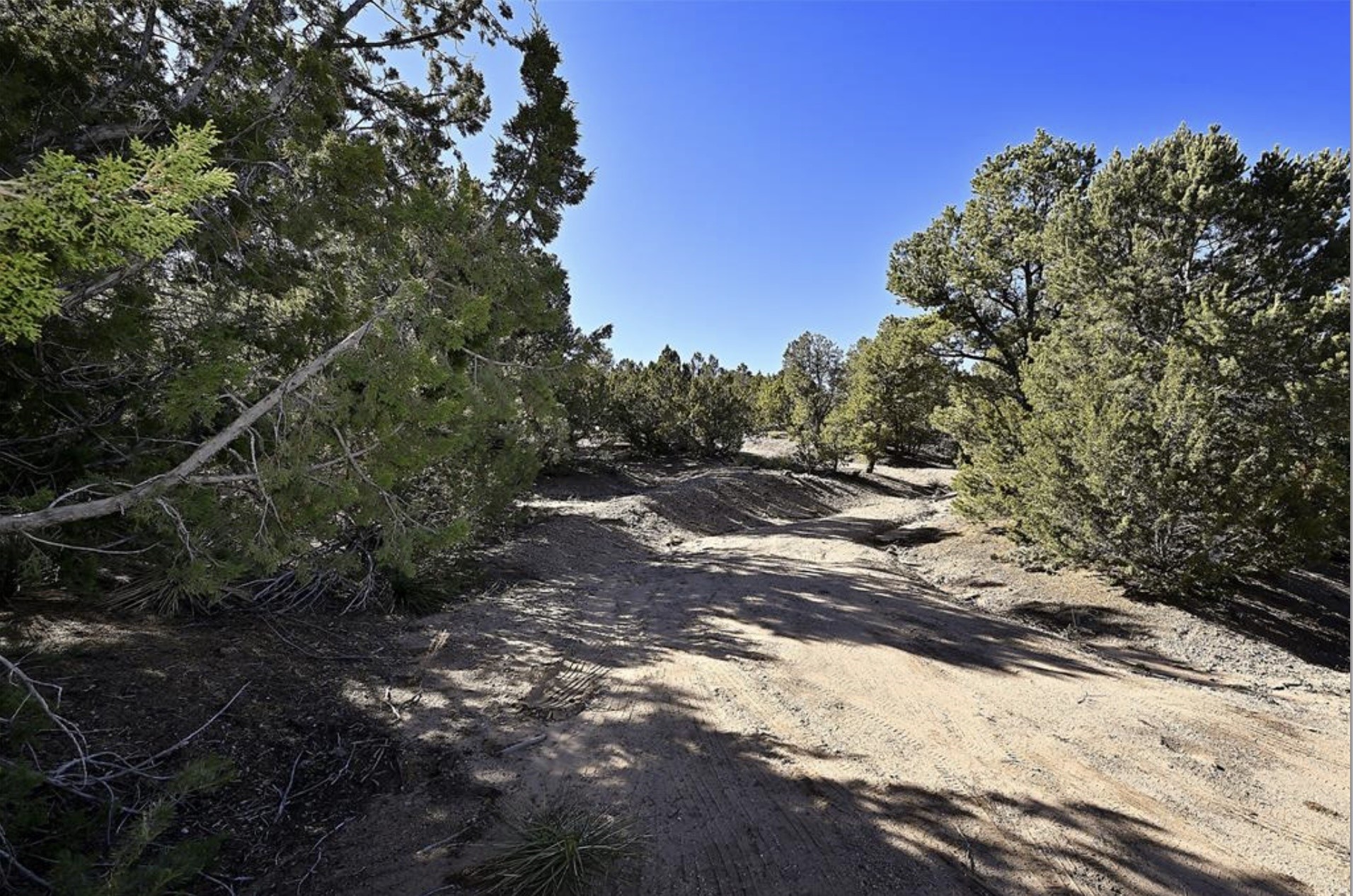 71 Tesuque Ridge, Unit LOT 5 Santa Fe, NM 87501 - Photo 7 of 11