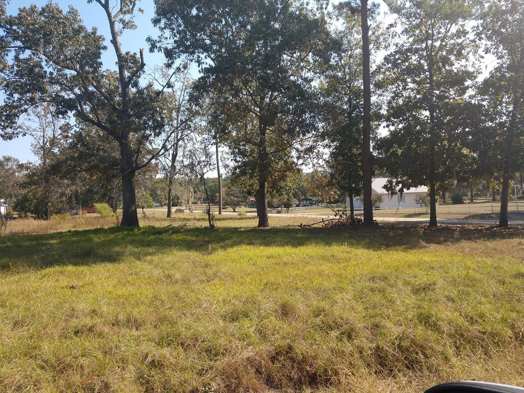 0 Camp Shelor Road Manning, SC 29102 - Photo 1 of 1