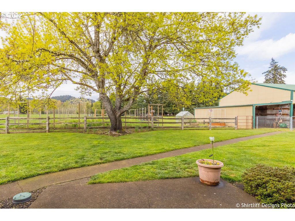 78566 Cedar Park Road Cottage Grove, OR 97424 - Photo 23 of 32 a view of a backyard with plants and trees