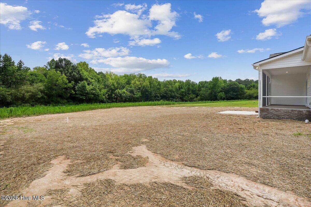 7345 Hill Road Spring Hope, NC 27882 - Photo 36 of 38