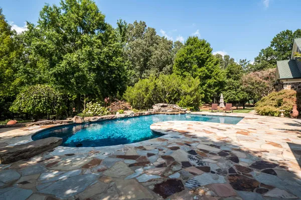 a view of a yard with plants