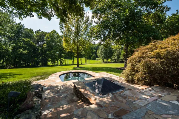 a view of a swimming pool with a garden and trees