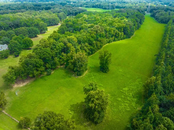 a view of yard with green space