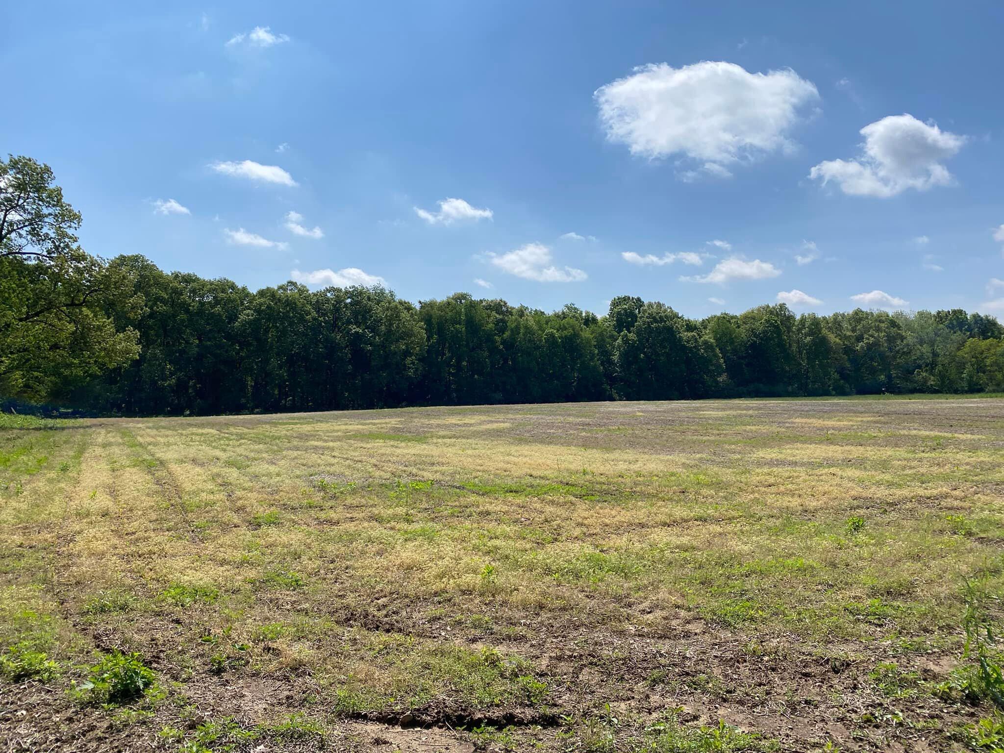 0 Rowe Road Jonesville, MI 49250 - Photo 2 of 8 ROWE2