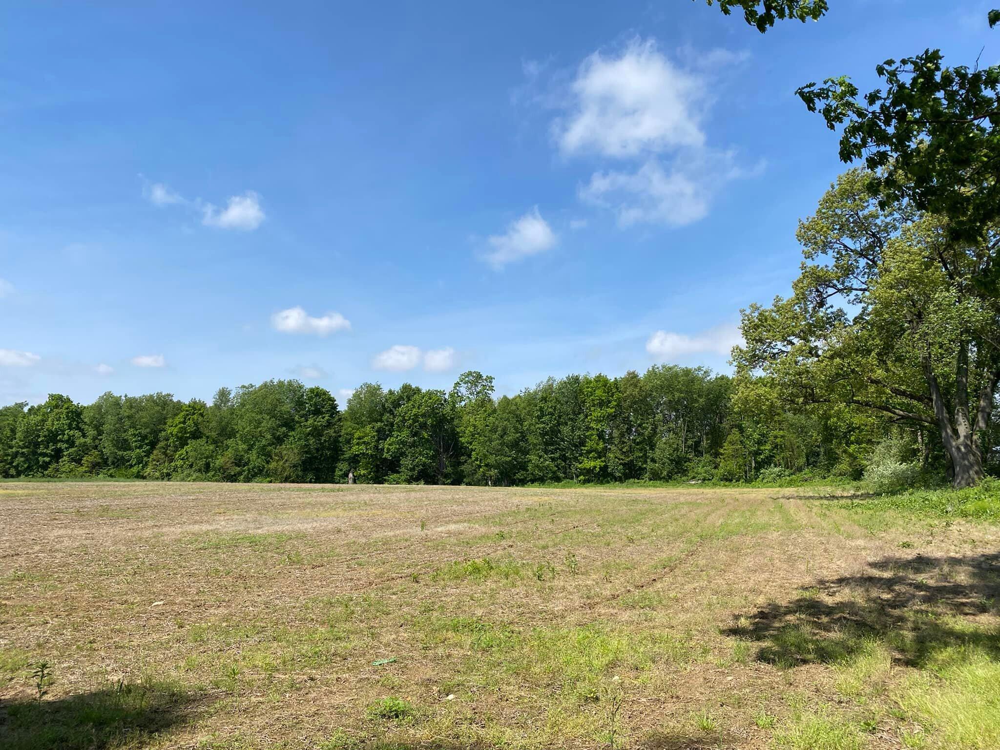 0 Rowe Road Jonesville, MI 49250 - Photo 3 of 8 ROWE3