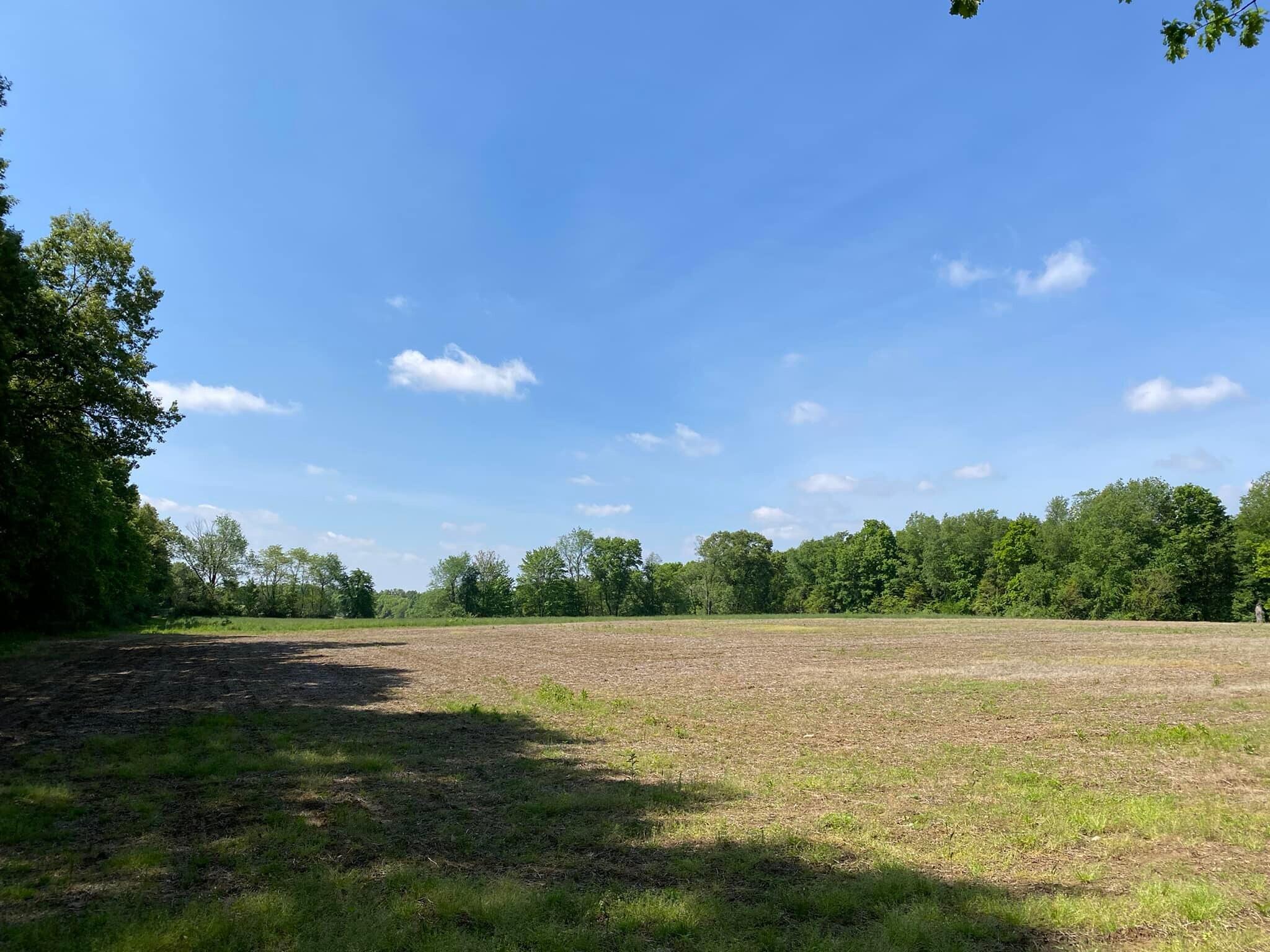 0 Rowe Road Jonesville, MI 49250 - Photo 4 of 8 ROWE4